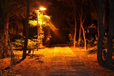 Footpath at night